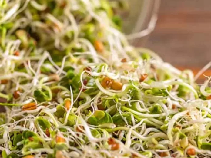 Sprouts: if you eat them daily you can get so many benefits!