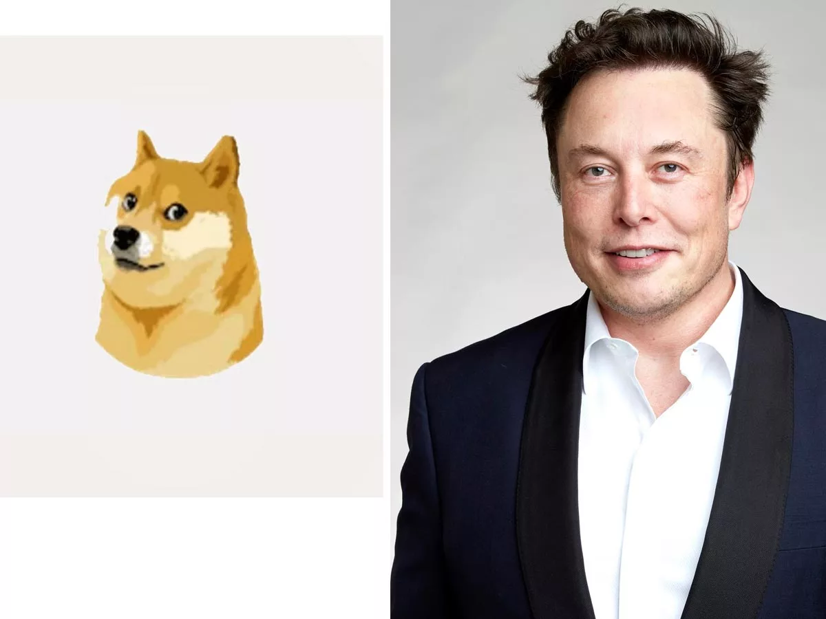 Twitter logo changed: Elon Musk replaces blue bird with Doge meme