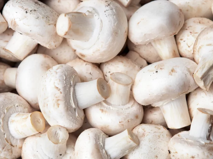 Mushrooms are tasty and beneficial, But there are side effects too, be aware
