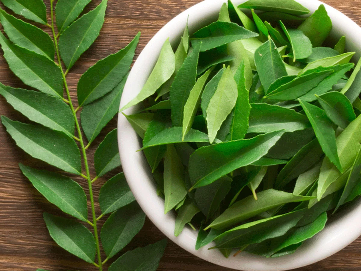 Curry Leave Benefits : Eating  curry leaves and  garlic per day will do many wonders in the body