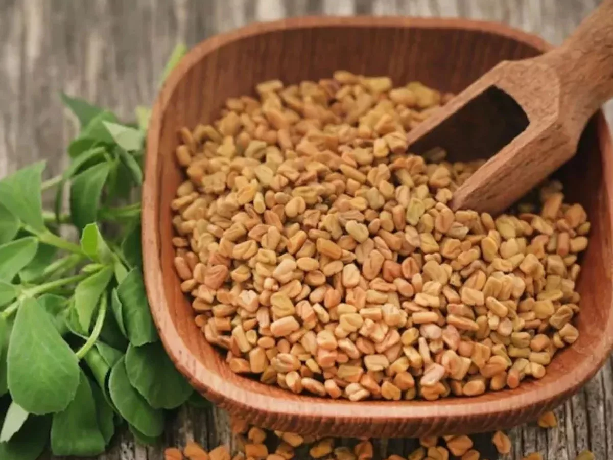 Fenugreek Disadvantages: If you consume fenugreek in excess, you will have so many problems