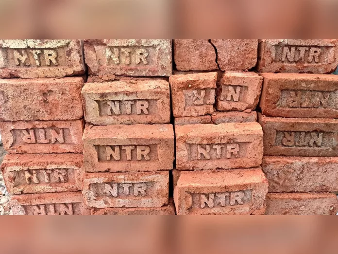 This fan crossed all limits , got Jr NTR name tattooed on the bricks of his house