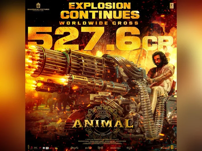 Animal Worldwide Collections:  Rs 527.6 Cr in 6 Days