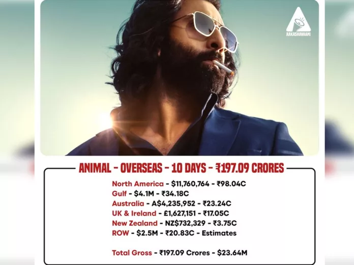 Animal latest Overseas collections: Super strong