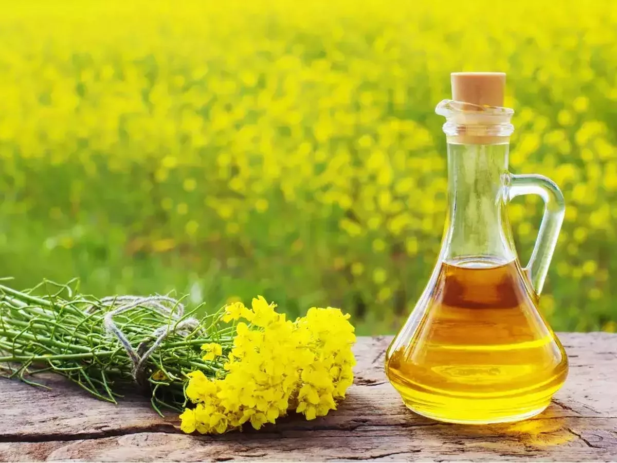 Health benefits of mustard oil